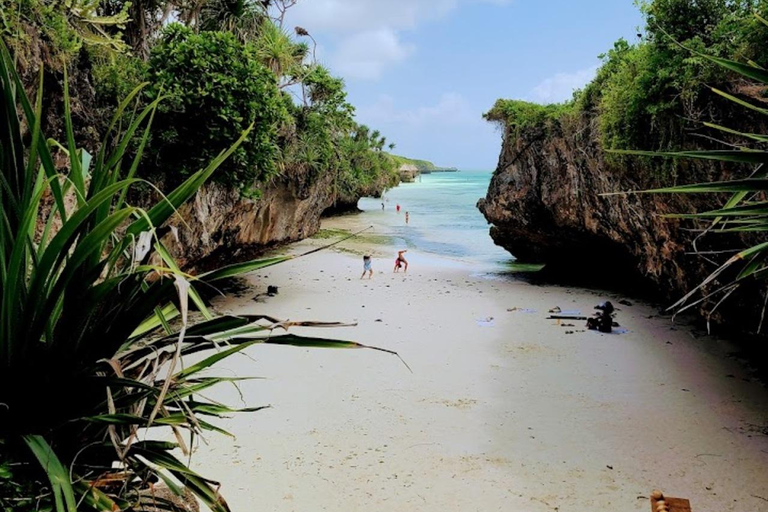 FLORESTA DO JOZANI/SANTUÁRIO DE TARTARUGAS MARINHAS/PRAIA DE MTENDEFLORESTA DE JOZANI/SANTUÁRIO DE TARTARUGAS MARINHAS/PRAIA DE MTENDE