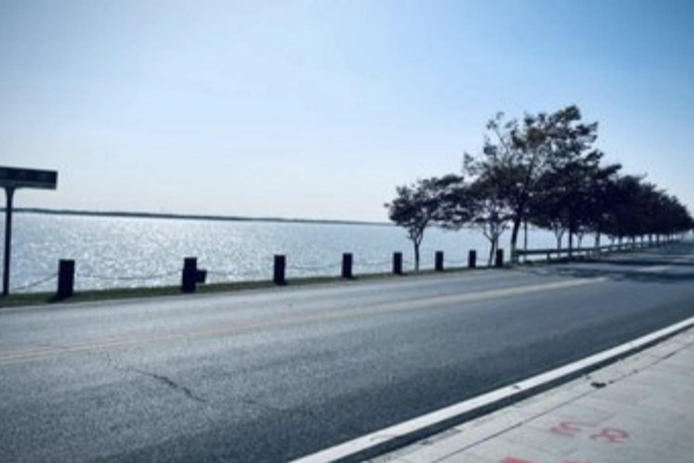 Shanghai: Dianshan & Yuandang Lake 100km Bike Tour Day Trip Shanghai: Dianshan & Yuandang Lake 100km Bike Tour Day Trip