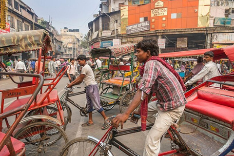 Old Delhi: Old Delhi City Tour with Rickshaw &amp; Street Food