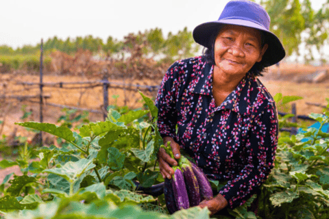 Siem Reap: Authentic Eco Village Walk and Cooking Class Tour