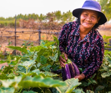 Siem Reap: Authentic Eco Village Walk and Cooking Class Tour