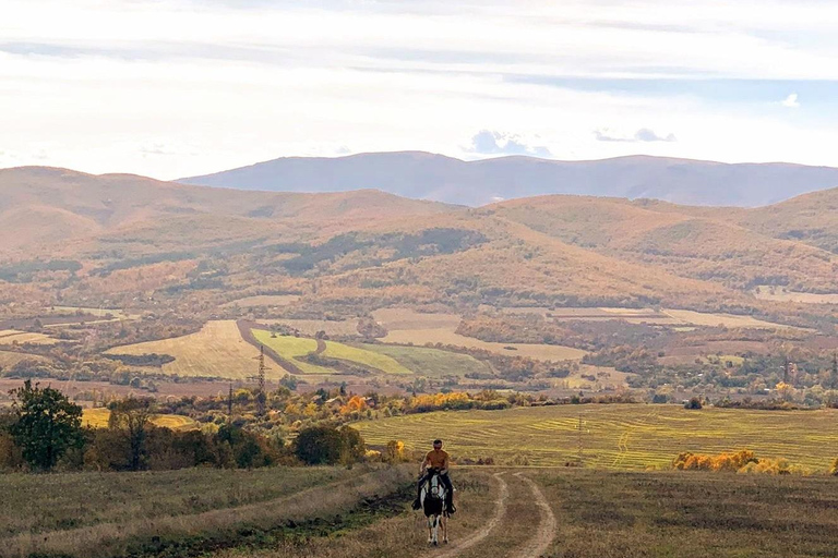Sofia: Horse riding through the nearest paradise to Sofia