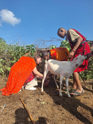 Maasai village cultural tour with traditional dance show