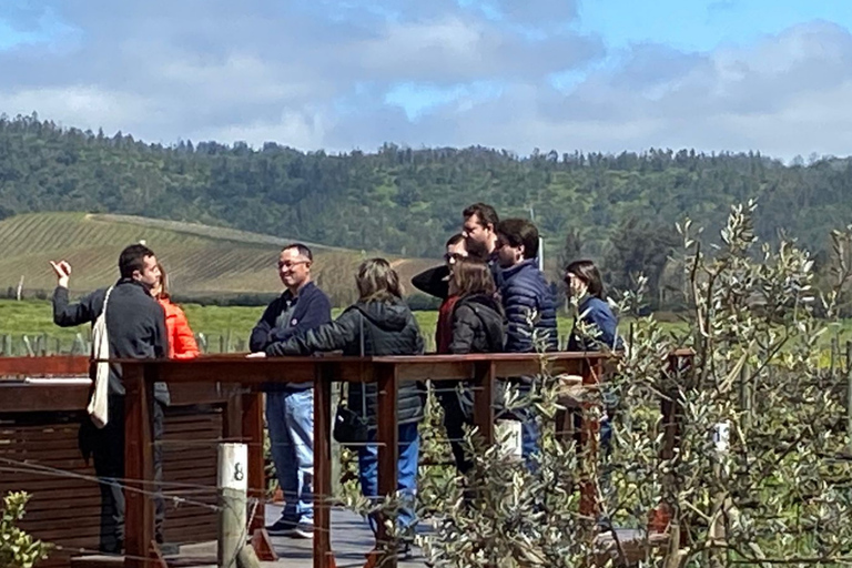 Casas del Bosque: Private Tour with Food Tasting/Lunch + Viña del Mar/Valparaiso
