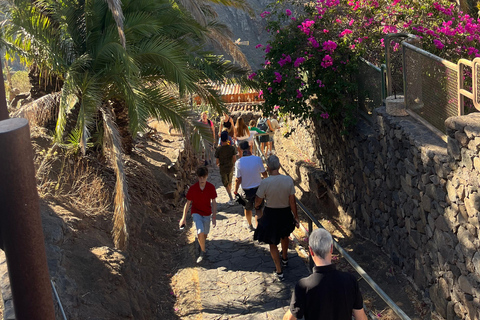 Tenerife: Masca, Los Gigantes & Natural Pools + Picnic Tour with Pick-up and Drop-off at your Hotel (South)