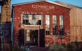 Wittenburg: Elephant Gin's Distillery Tour near Hamburg