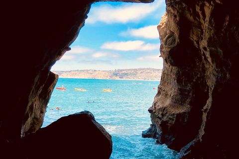 Um passeio à beira-mar: Excursão a pé pelos tesouros escondidos de La JollaUm passeio à beira-mar: Passeio a pé pelos tesouros escondidos de La Jolla