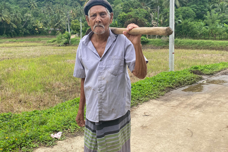 Sri Lanka: 7-Day Cultural Immersion Tour with Transfers