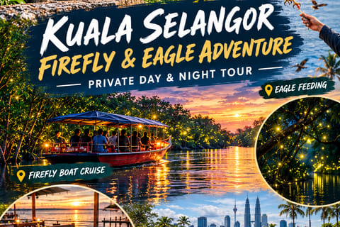 From Kuala Lumpur: Kuala Selangor Firefly Cruise & Dinner