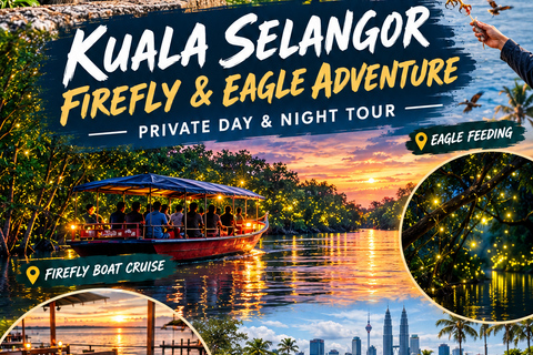 From Kuala Lumpur: Kuala Selangor Firefly Cruise & Dinner