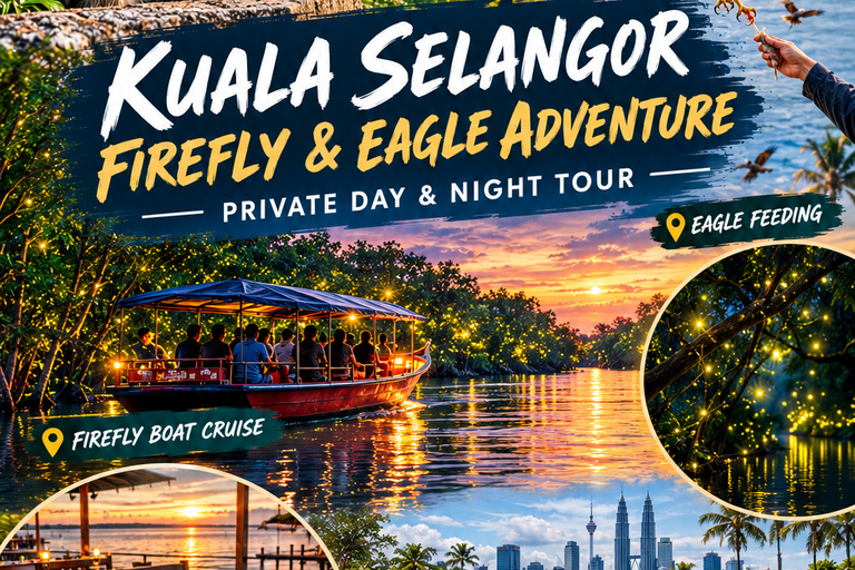 From Kuala Lumpur: Kuala Selangor Firefly Cruise & Dinner