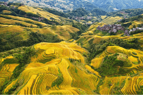 Guilin: Longji Dazhai Rice Terraces Day Tour with Cable Car