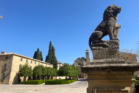 Educational Sightseeing Tour of Úbeda for School Groups