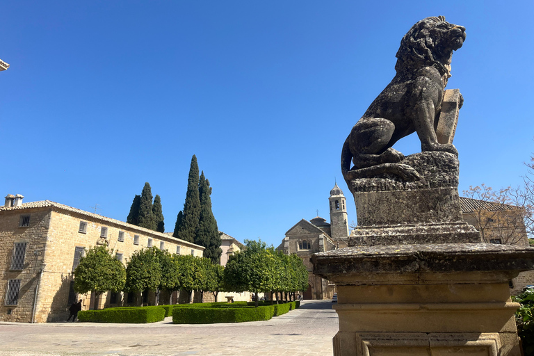 Educational Sightseeing Tour of Úbeda for School Groups