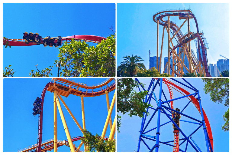 Guangzhou Chimelong: Safari Park/Paradise（Optional Day Tour） Chimelong Paradise – Adult