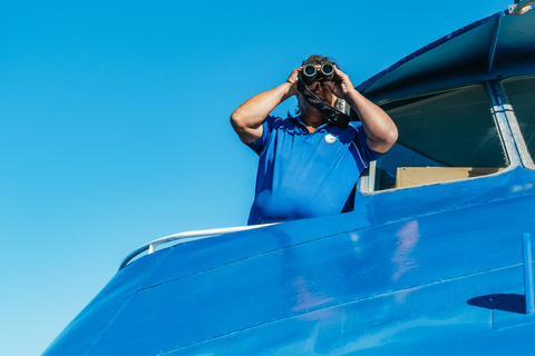 Spirit of Gold Coast 2.5-Hour Whale Watching Tour