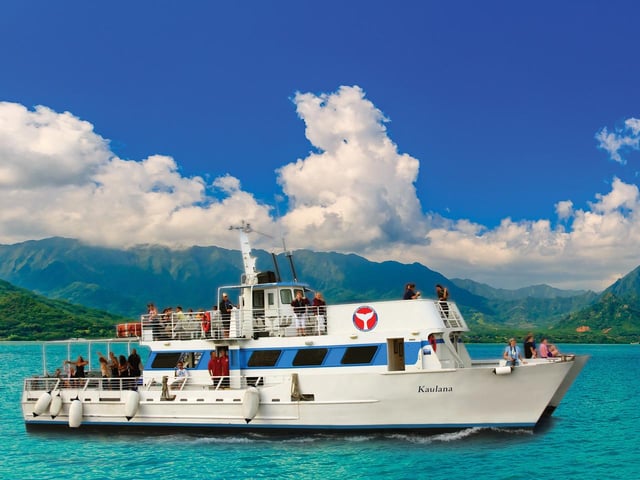 Oahu: Excursión de Avistamiento de Ballenas desde el Puerto de Ala Wai