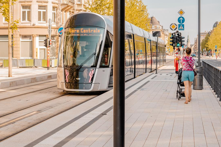 Das Beste aus 3 Stunden Rundgang in Luxemburg