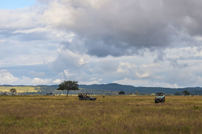 Från Zanzibar: Mikumi Safari med tvåmotorigt flygplan + lunchMikumi Safari – utan transfer