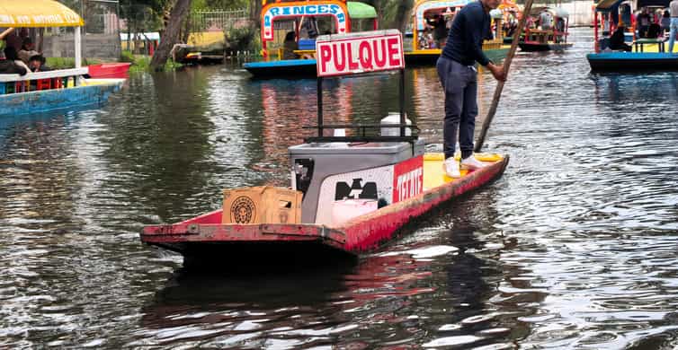 Mexico City: Expert-Guided Boat Tour with Lunch and Drinks photo 10