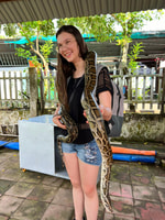 Ho Chi Minh, Full-Day Cu Chi Tunnels and Mekong Delta Tour - Housity