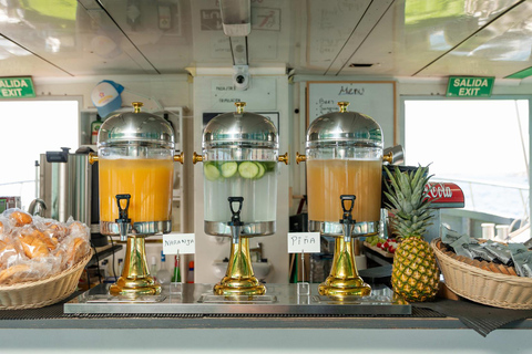 Ibiza: Formentera Tour with Meals Water Activity & Free Time