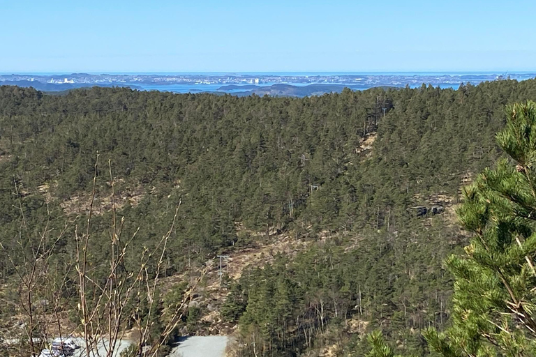 Preikestolen com serviço de busca no hotel ou no navio com guia