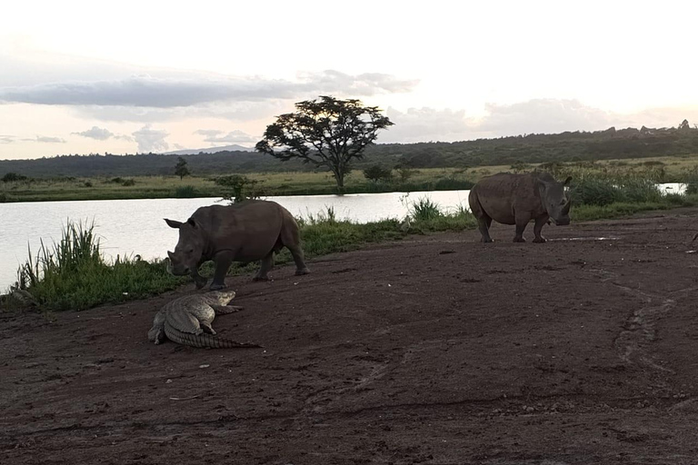 Parque Nacional de Nairobi: medio día en safari para ver leones y rinocerontesParque Nacional de Nairobi: tour privado de medio día