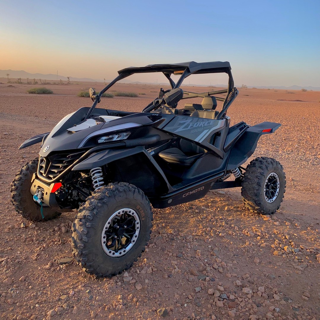 Désert de Marrakech et palmeraie en buggy