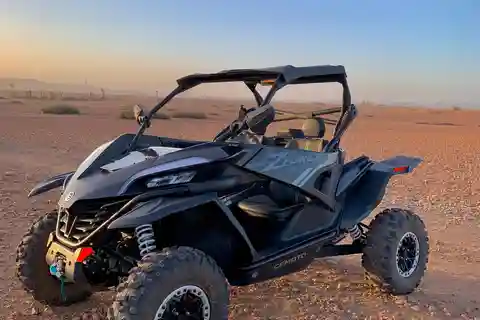 Buggy Marrakech Deserto e Palmerie