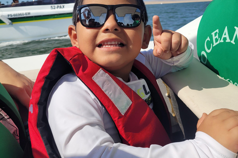 Ica: Full day to the Ballestas Islands and the Paracas National Reserve Ica: Full Day to the Ballestas Islands and Paracas National Reserve