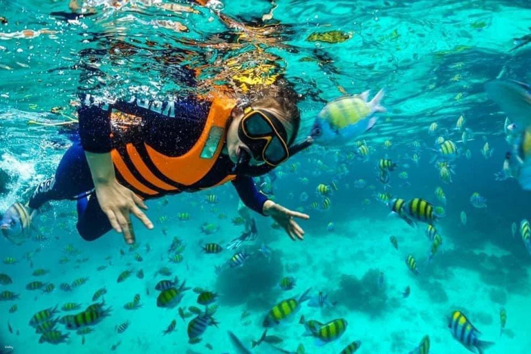 Journée privée : Juanillo Beach et boîte de nuit VIP Hoyo AzulJournée privée : plage de Juanillo et boîte de nuit VIP à Hoyo Azul