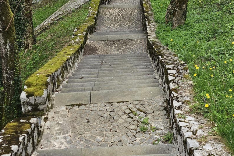 Ljubljana à la grotte de Postojna, au château de Predjama et au parc de Postojna