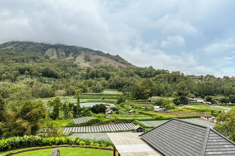 Mount Batur: Private Sunrise Jeep Tour & Natural Hot Spring