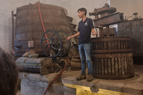 VALLEE DU DOURO : Visite guidée des vignobles, croisière et déjeuner dans un établissement vinicole.Visite privée