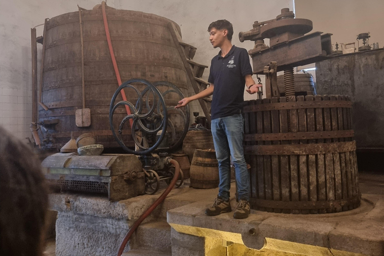 VALLEE DU DOURO : Visite guidée des vignobles, croisière et déjeuner dans un établissement vinicole.Visite privée