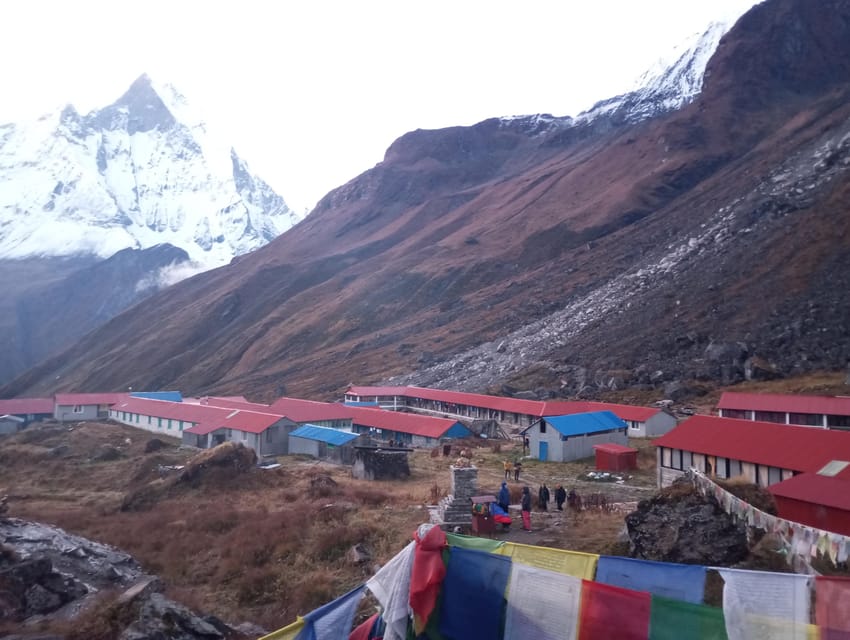 Fra Pokhara Annapurna Basecamp Dages Guidet Trek Getyourguide