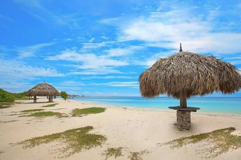 Aruba: Piscina Natural, Cuevas y Aventura en Jeep por la Playa del Bebé