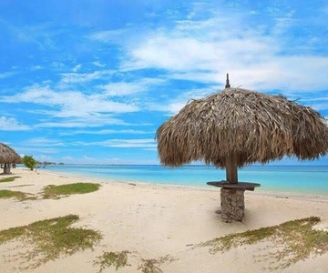 Aruba: Natural Pool, Caves & Baby Beach Jeep Adventure