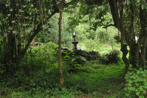 Pululahua Volcano Sightseeing Tour