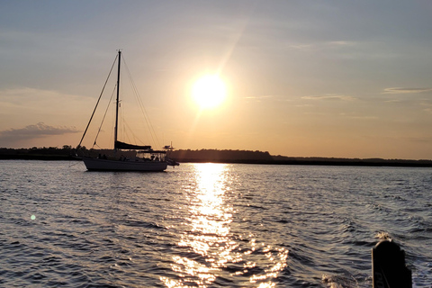 Pantano del río Savannah: ¡tu inolvidable aventura en crucero!