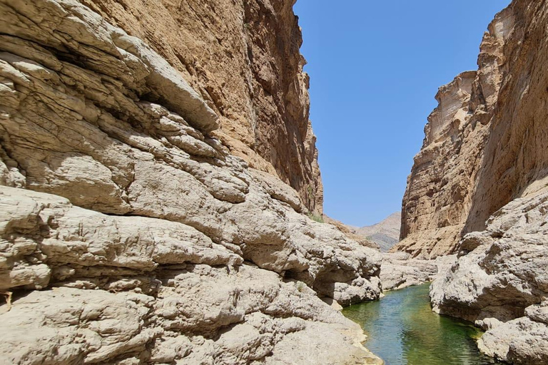 From Muscat: Wadi Al Arbieen Adventure, Sinkhole, Fins Beach