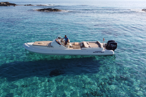 Ibiza & Formentera: Private Boat 8-hour Tour