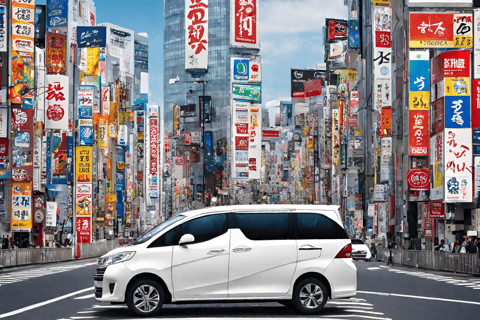 Tokyo 5-Hour Private Car Tour with NRT/HND Airport Transfer Includes Narita Airport Transfer