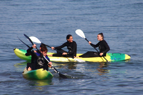 Location de kayak dans la marina de Valence1h de location de kayak dans la Marina de Valencia