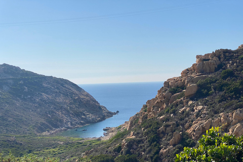 Corse : excursion d&#039;une journée à Calvi en minibus depuis BastiaCorse : Excursion à Calvi en minibus depuis Bastia