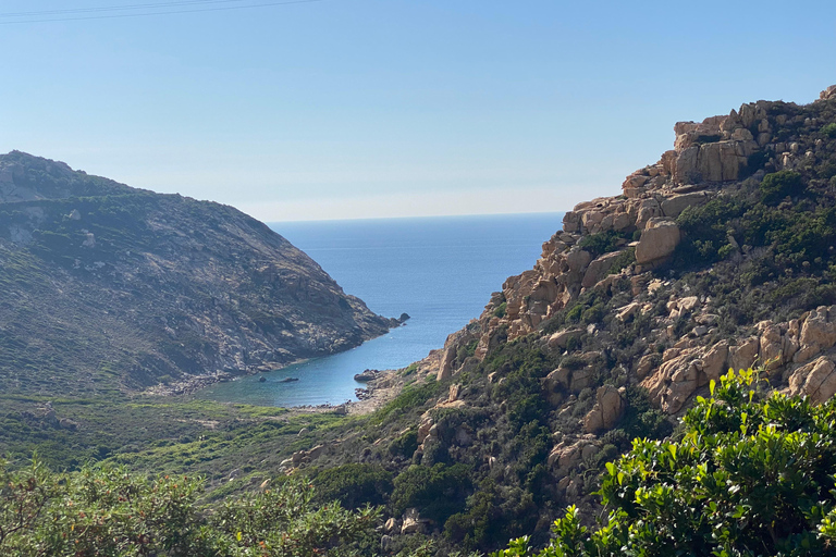 Corse : excursion d&#039;une journée à Calvi en minibus depuis BastiaCorse : Excursion à Calvi en minibus depuis Bastia