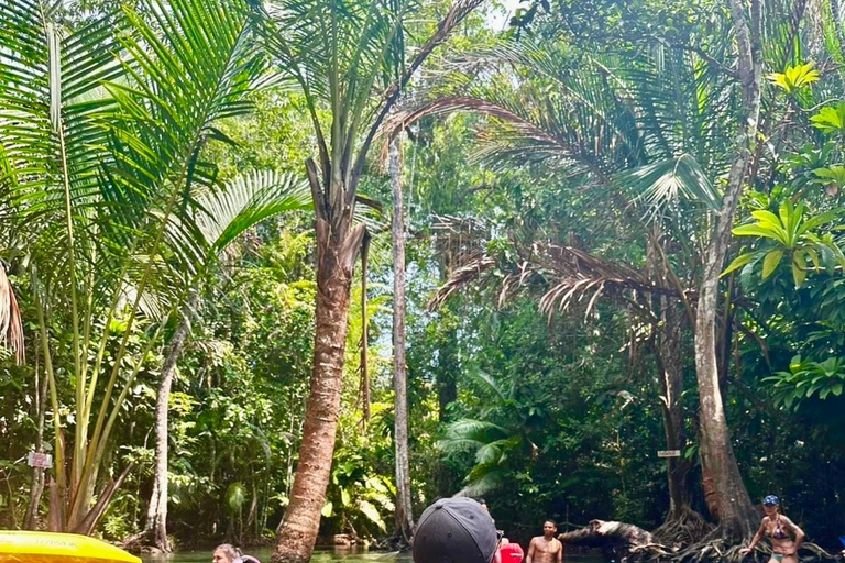 Krabi: Passeio de caiaque em Klong Root (Lago de Cristal)Sessão da manhã - 8h15.