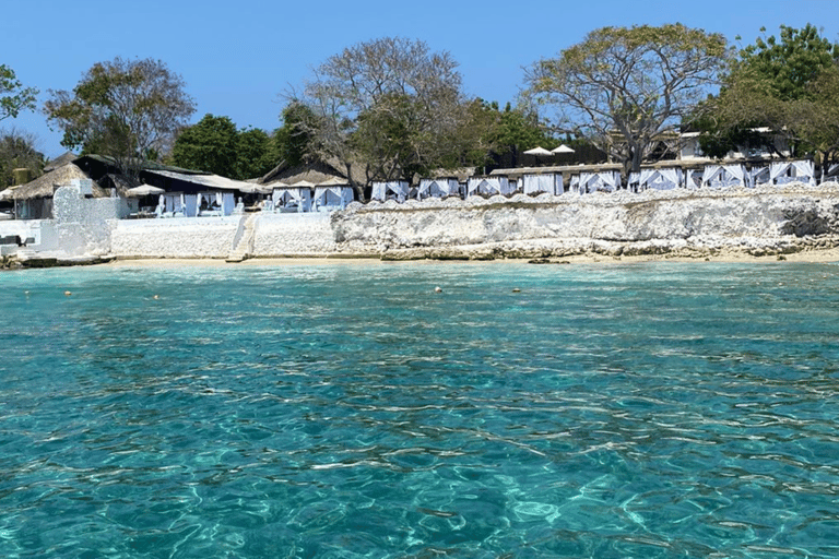 4 îles VIP Bahaire