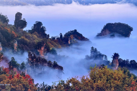 Private Zhangjiajie: Glass Bridge, Terraces & Avatar